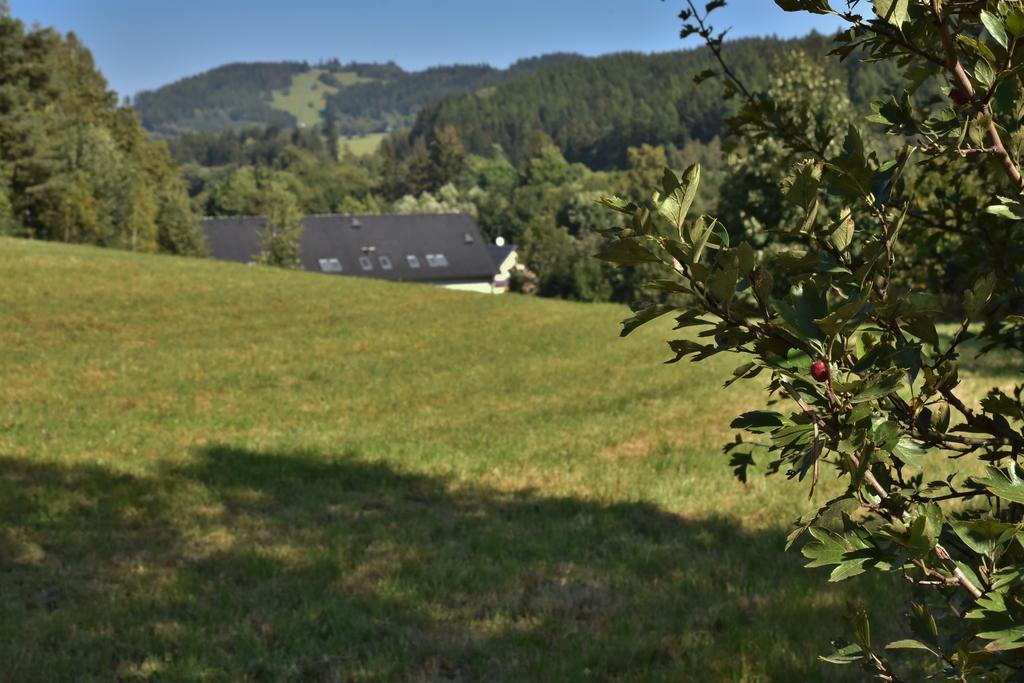 Penzion Vincent Dolní Moravice Buitenkant foto